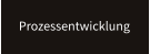Prozessentwicklung