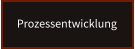 Prozessentwicklung